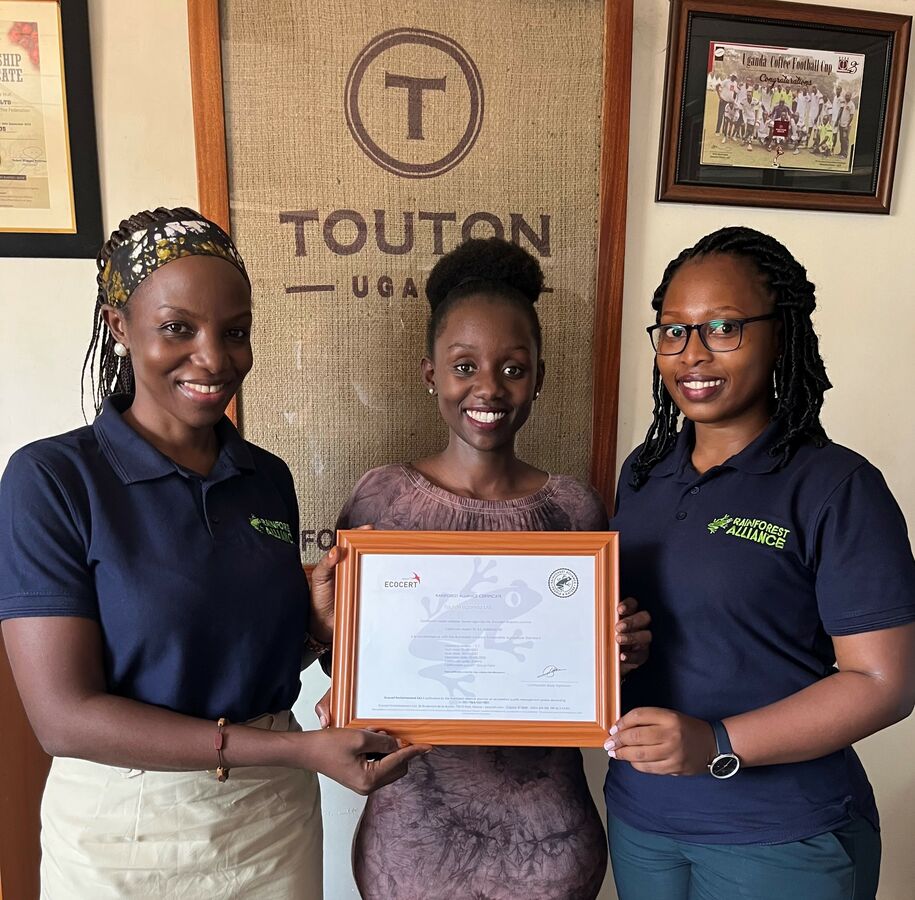 Newly RA certified Touton Uganda coffee supply chain