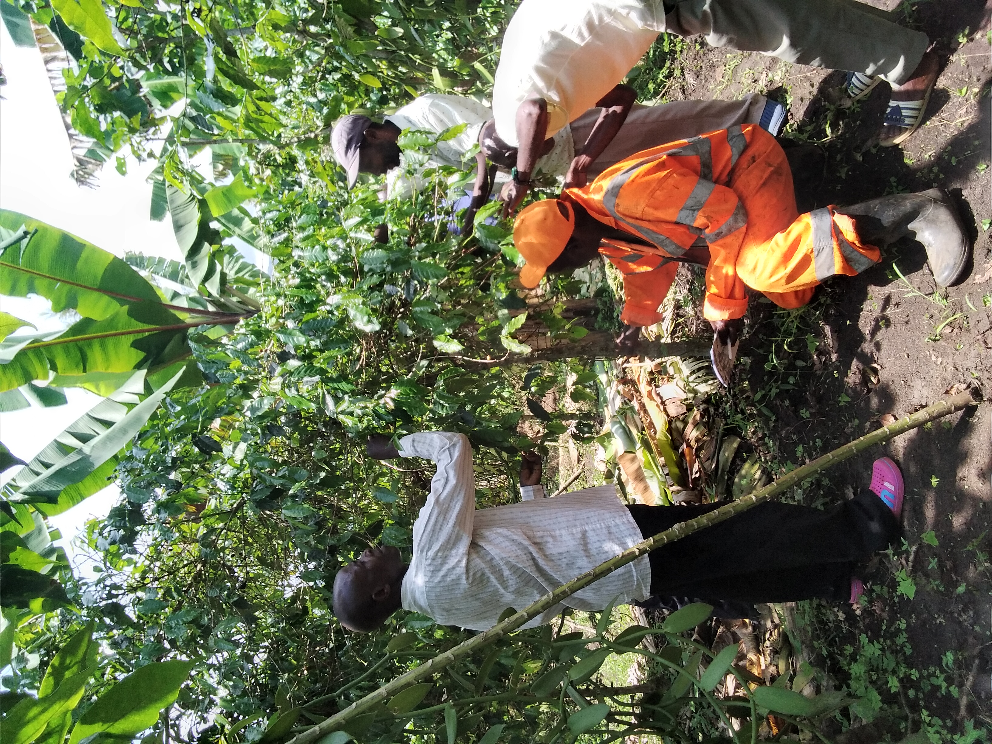 coffee_farmers_in_the_field.jpg