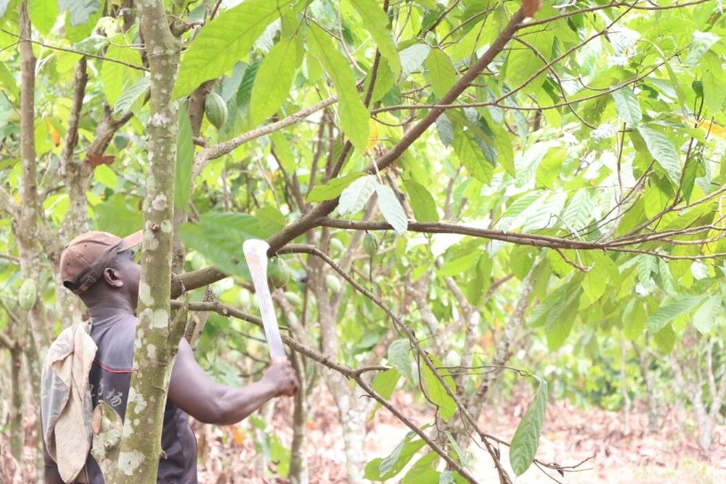 Samson Atwi Agri preneur