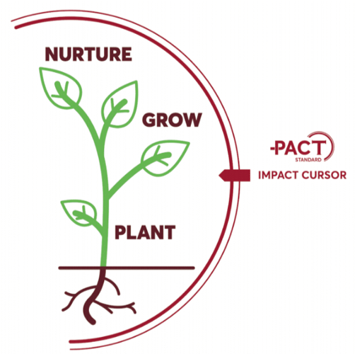 plant grow nurture